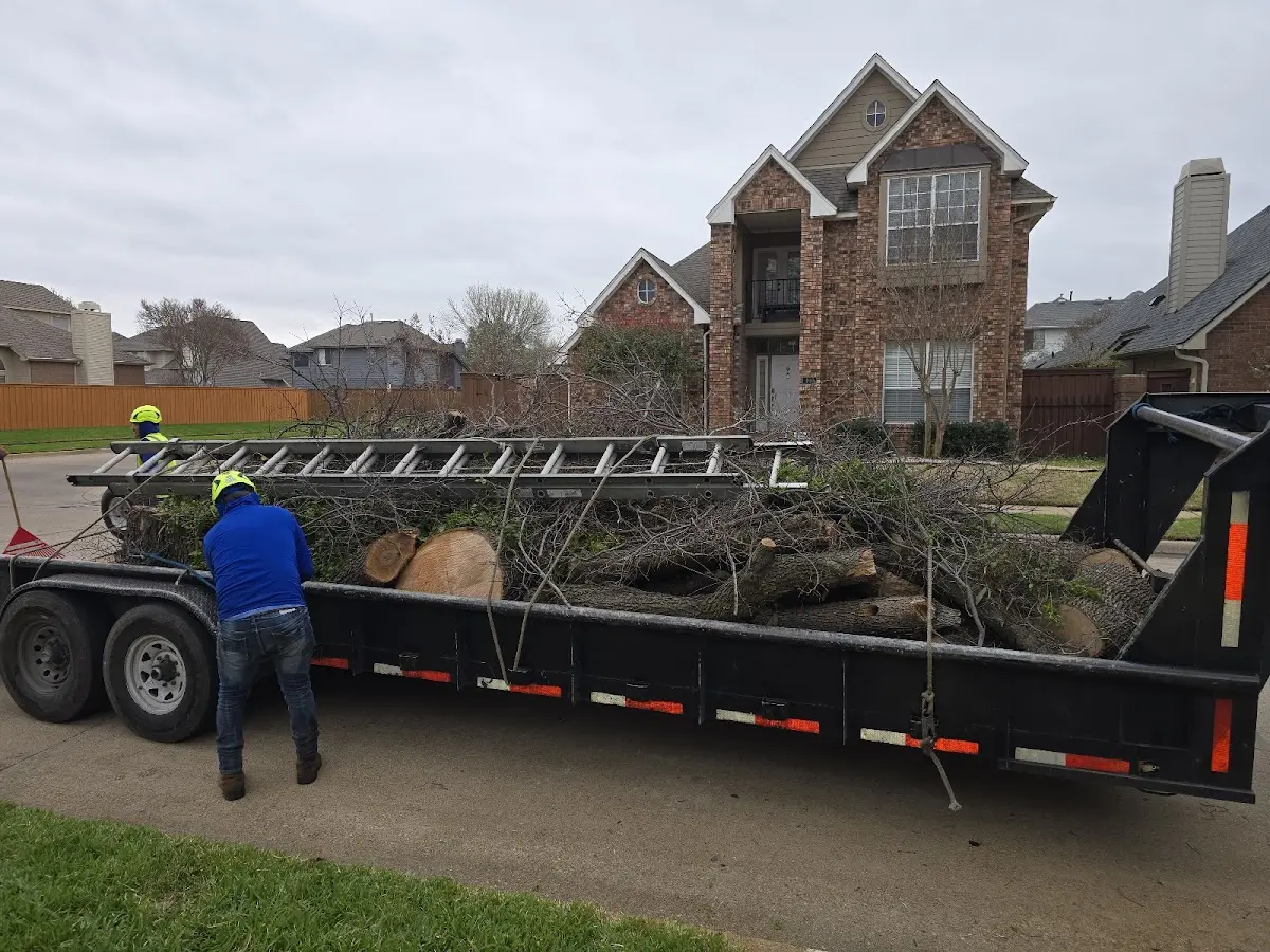 Expert Tree Pest Control with proper safety equipment in Winona